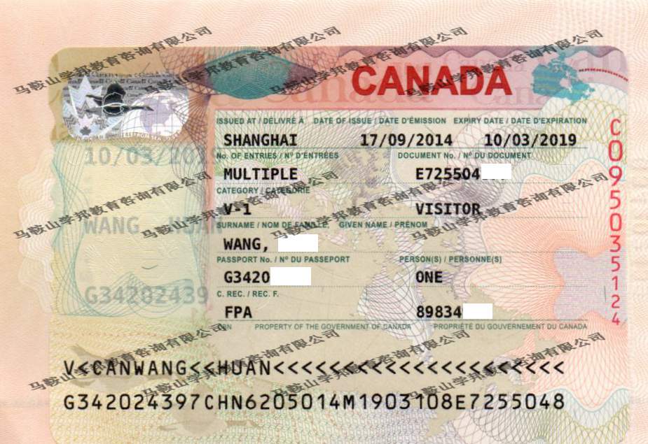 ���ô�̽�H���C